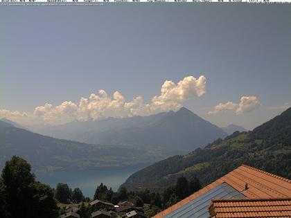 Beatenberg: swissmountainview.ch - Thunersee - Niesen