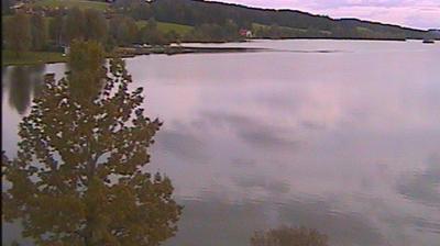Ried Bei Sulzberg lake webcam