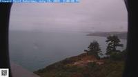 South Hams › South-East: Froward Point