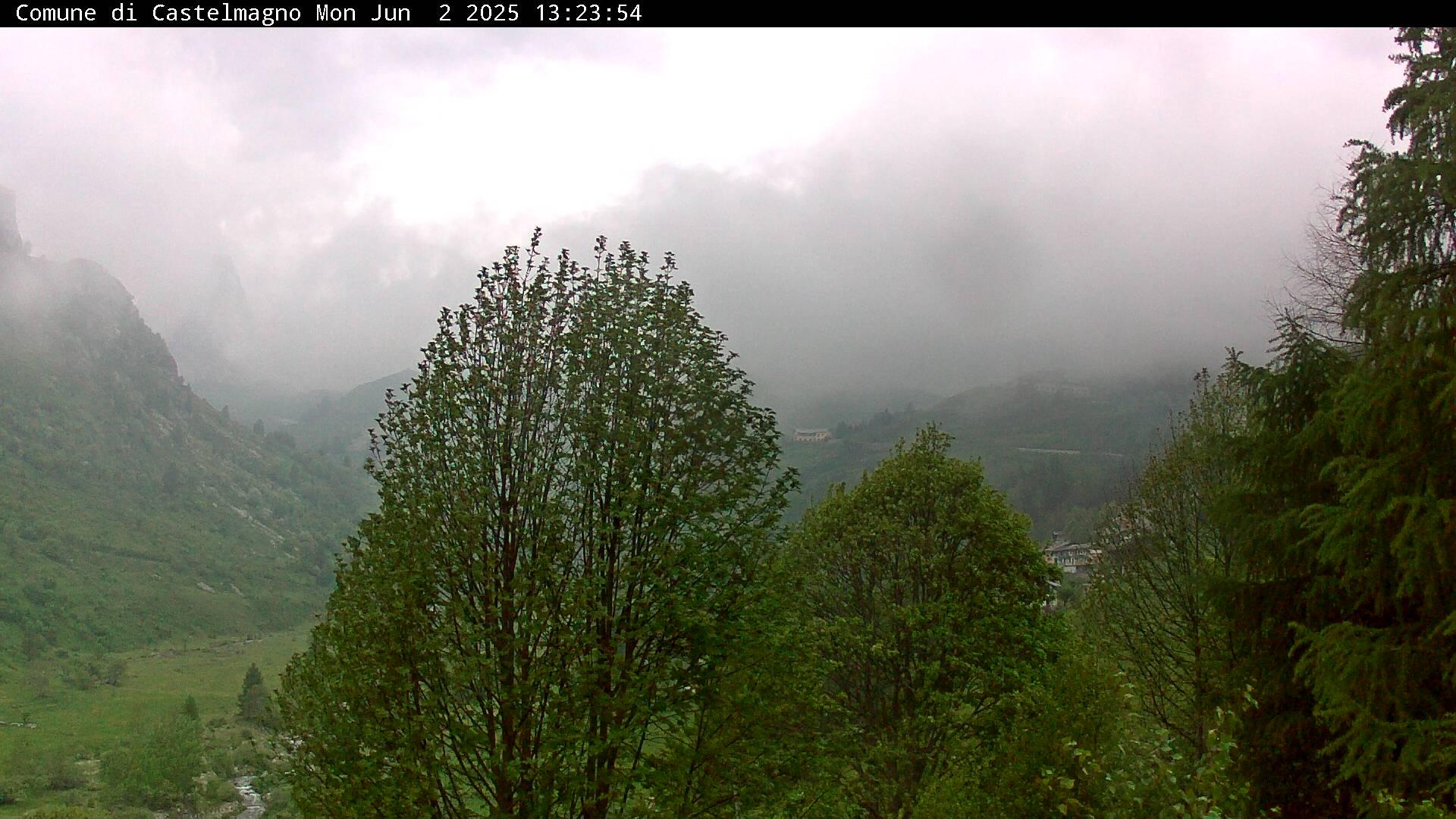 Castelmagno forest Webcam