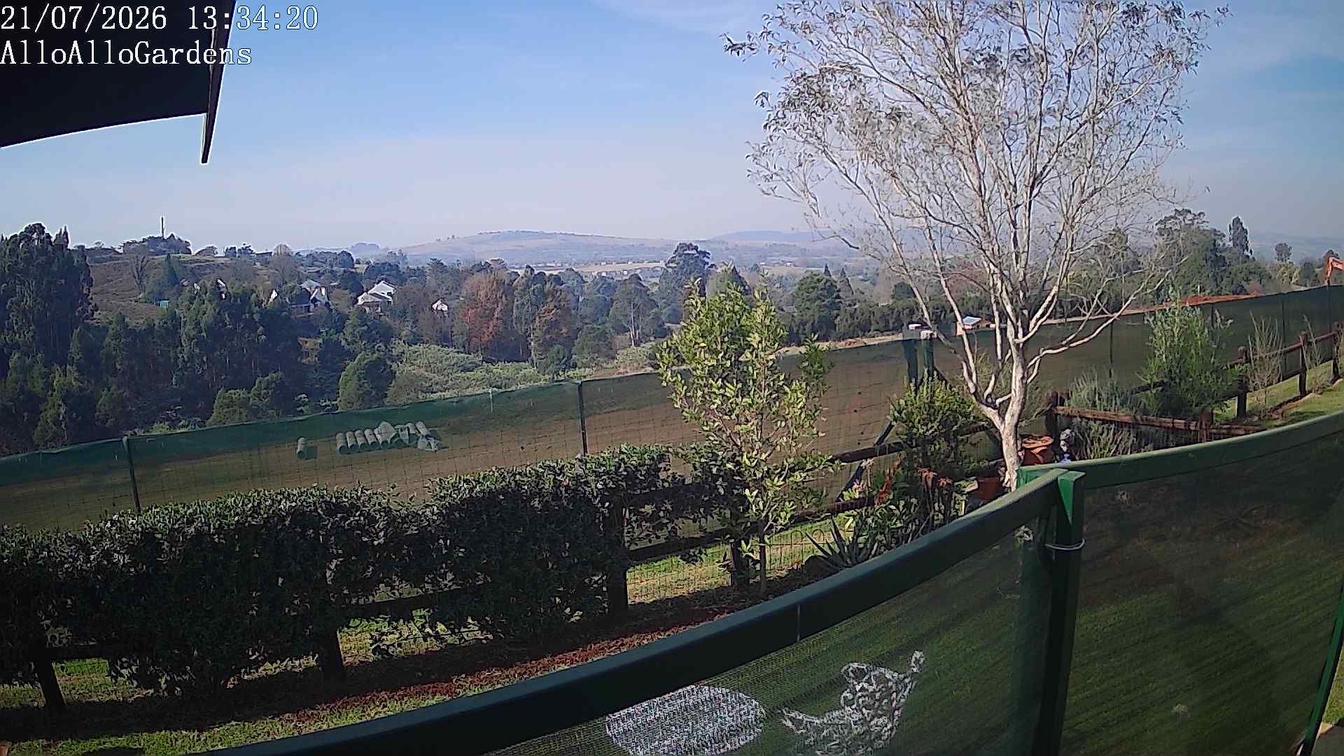 Howick during daytime