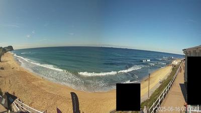 Newcastle today