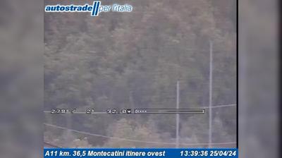 immagine della webcam nei dintorni di Chiesina Uzzanese: webcam Monsummano Terme