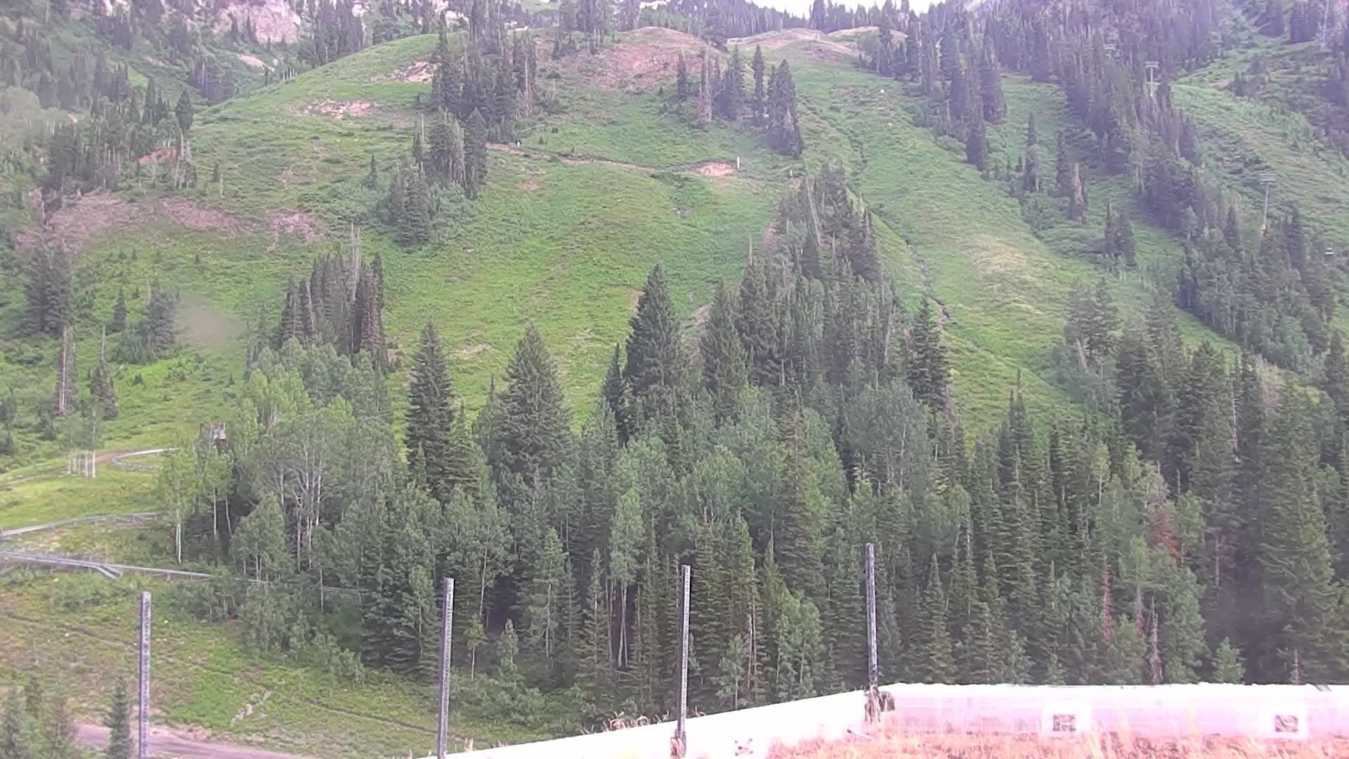 Snowbird durante o dia
