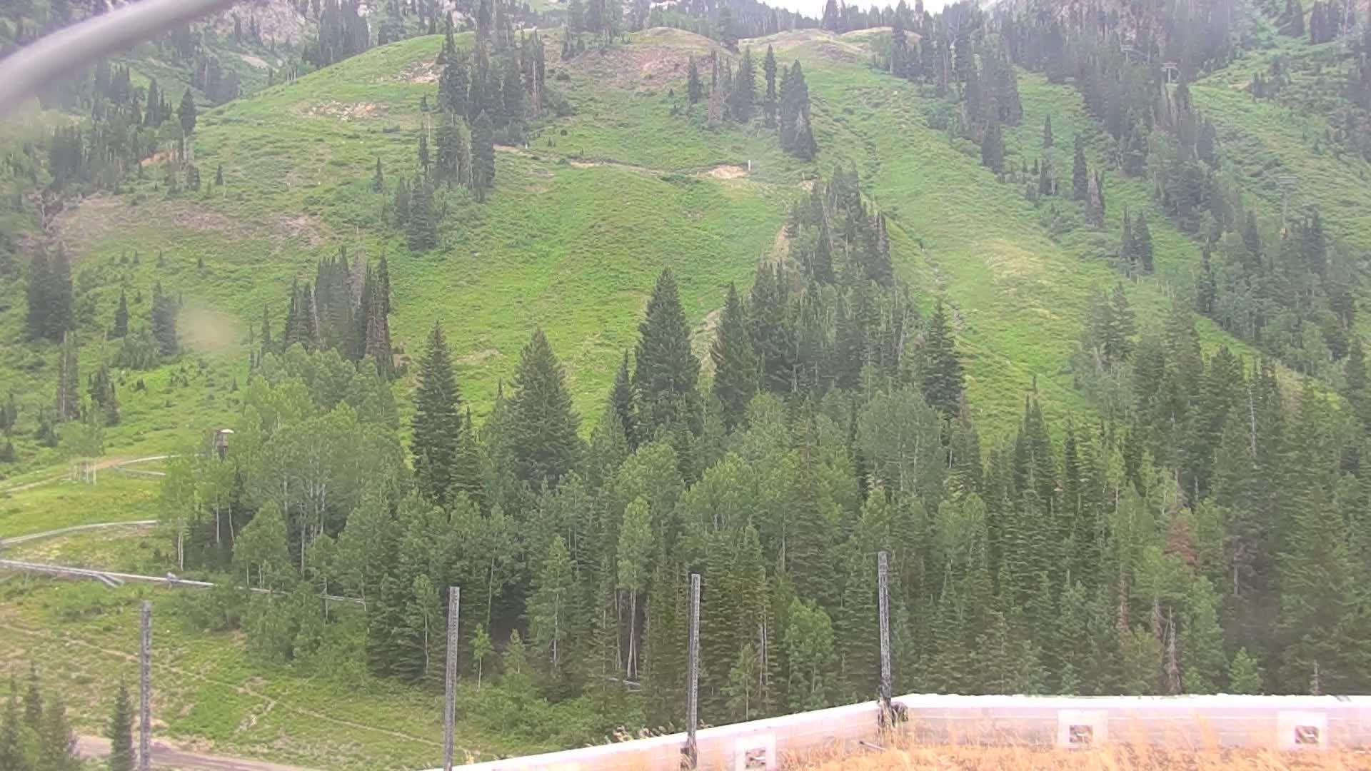 Snowbird durante o dia