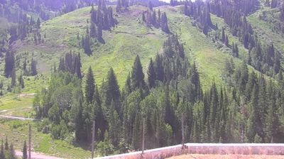 Snowbird i dag