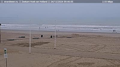 Beachcam: Hoek van Holland Coastal Views