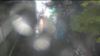 Guaruja: Fila Da Balsa