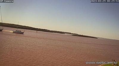 Imagen de webcam diurna Tigre