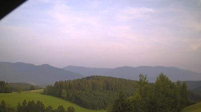Bildstein forest webcam