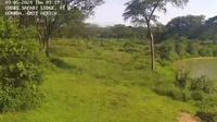 Samburu: Chobe Viewing deck - Recent