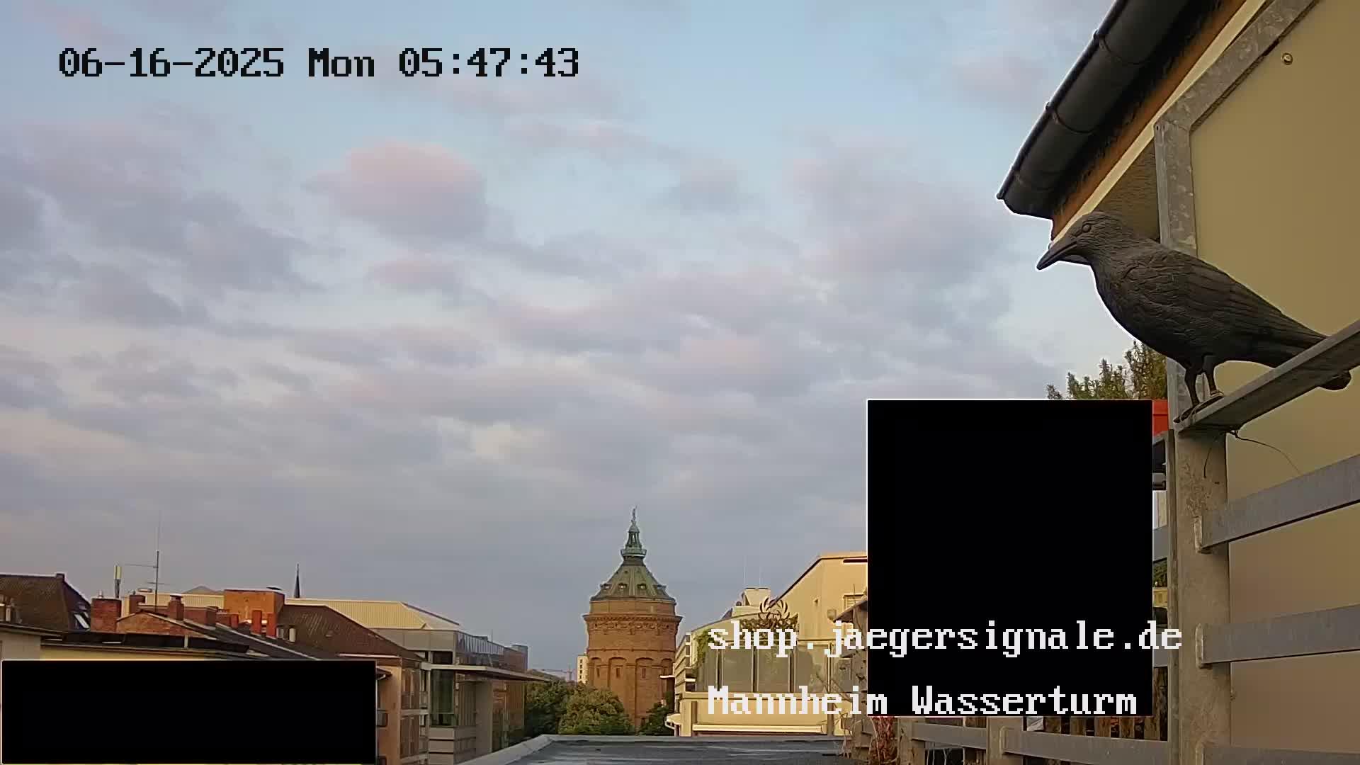 Schwetzingerstadt weather Webcam