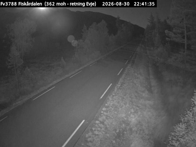 Traffic Cam Espelid: F3788 Fiskårdalen (Evje)