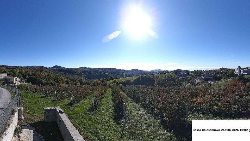 Italiani during daytime