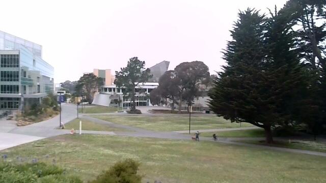 Foggy San Francisco Landscape Webcam