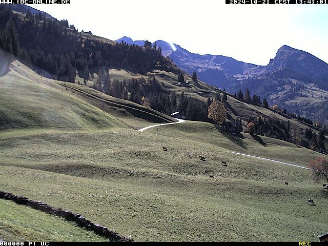 Diemtigen: Springenboden im Diemtigtal (Ski- und Wandergebiet)