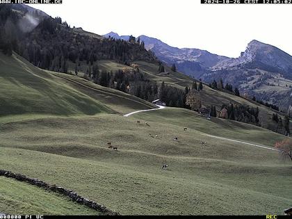 Diemtigen: Springenboden im Diemtigtal (Ski- und Wandergebiet)