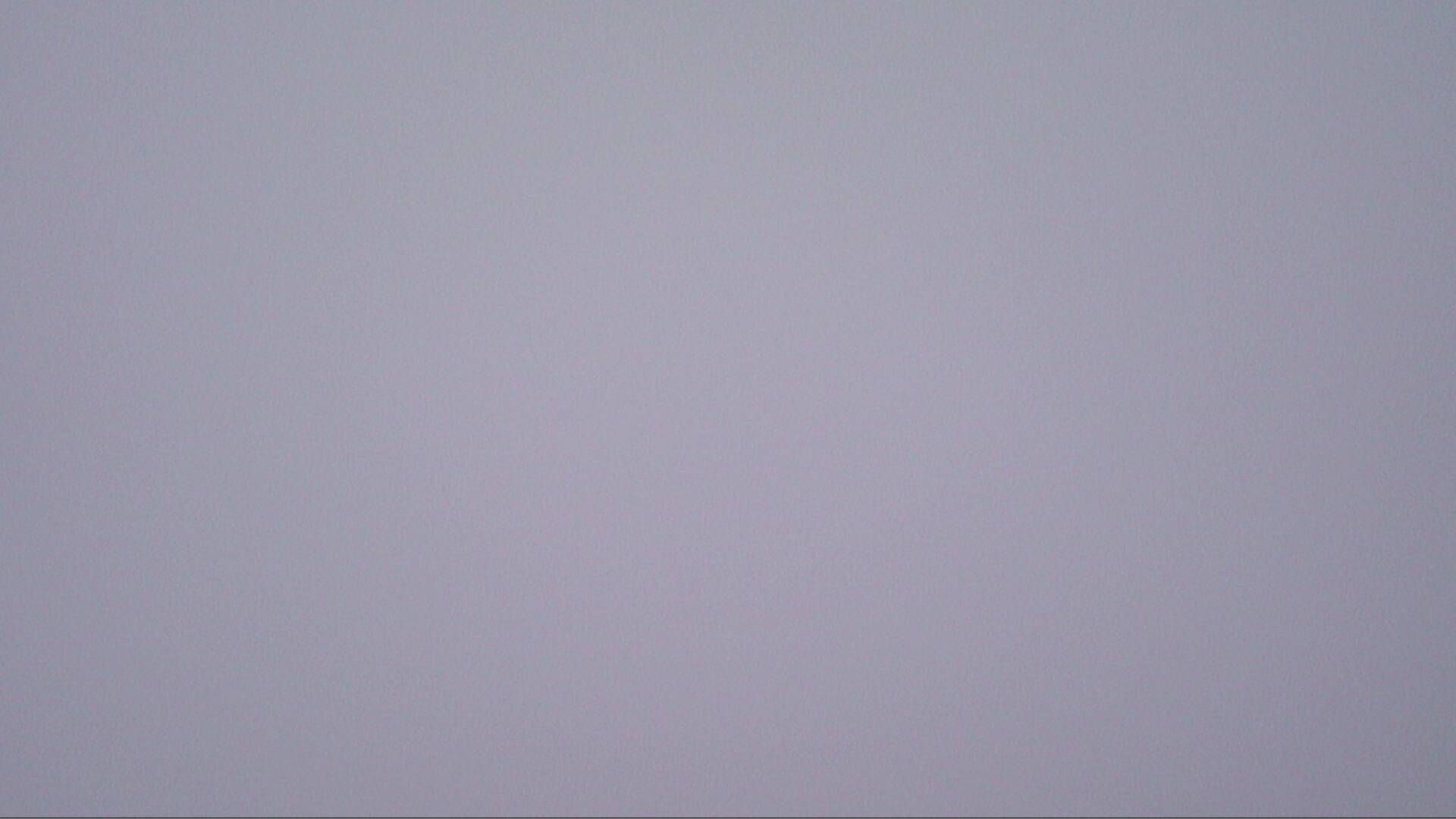 Büntacher: Linn - Die Linde von Linn (Linner Linde)