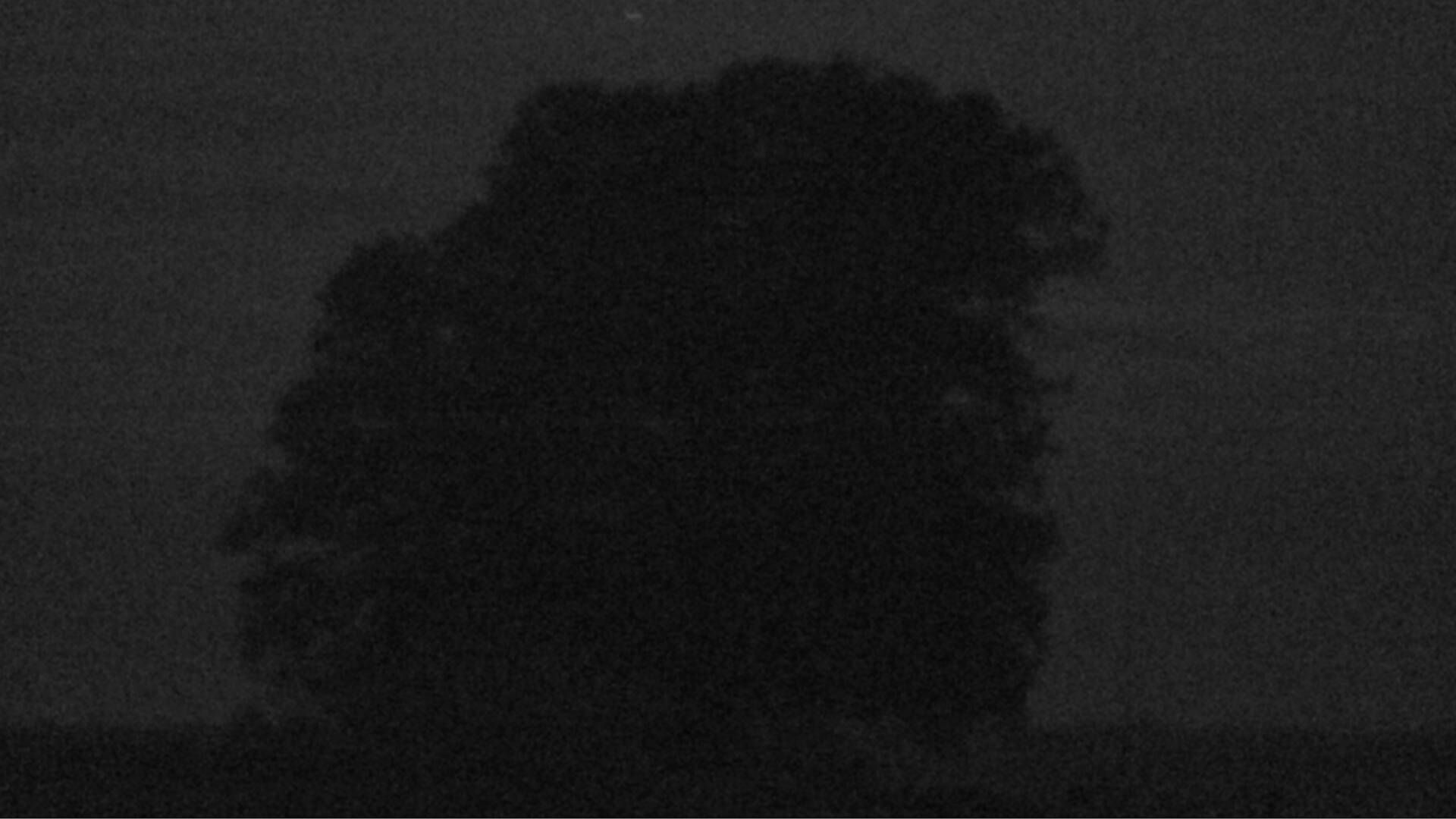 Bözberg: Büntacher › Nordosten: the Lime Tree at Linn
