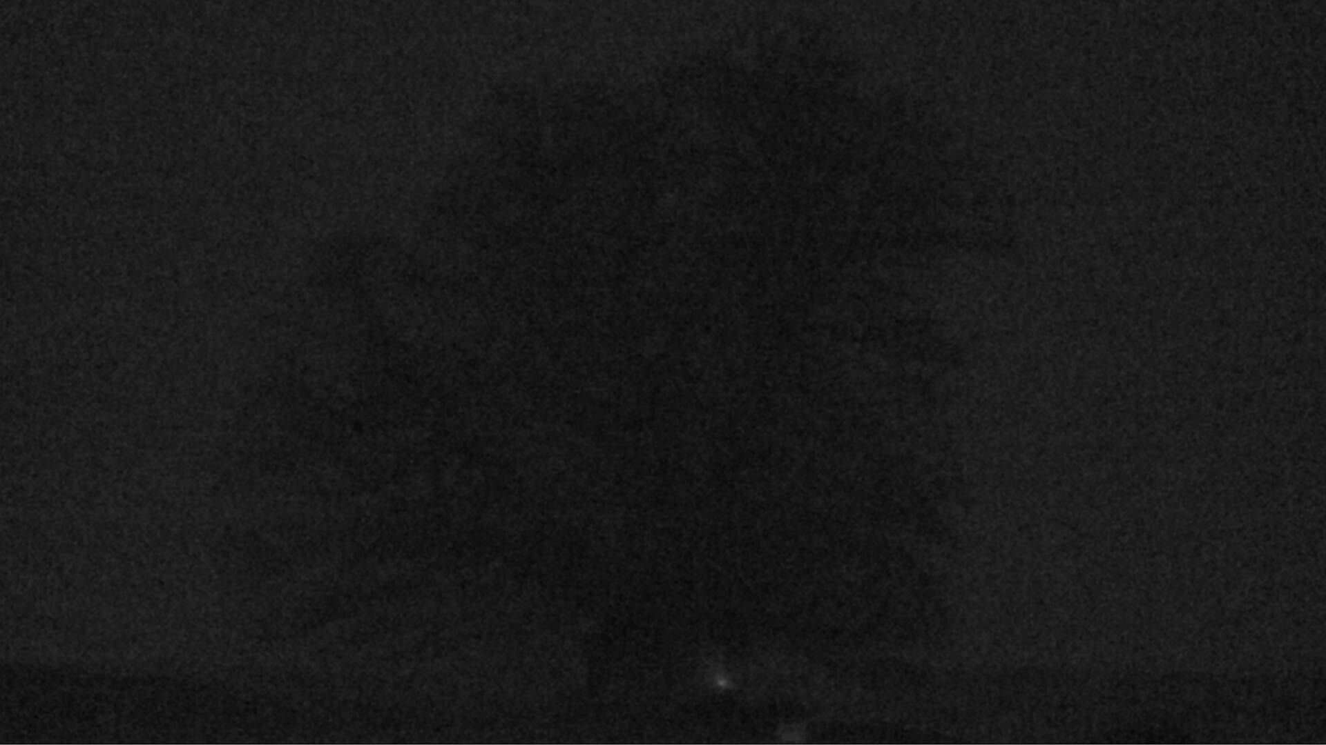 Bözberg: Büntacher: Linn - Schweiz: Die Linde von Linn (Linner Linde)