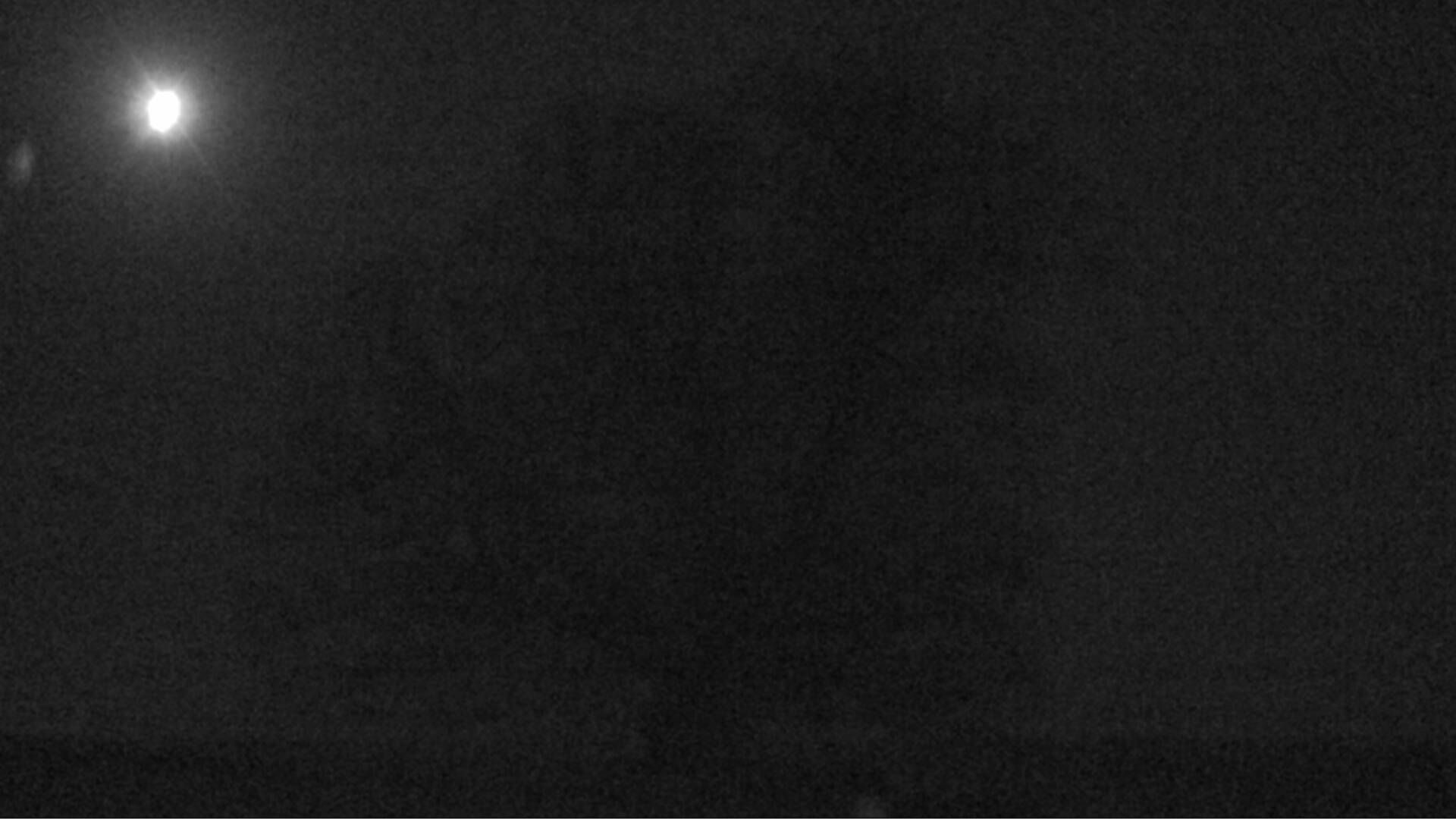 Bözberg: Büntacher: Linn - Schweiz: Die Linde von Linn (Linner Linde)