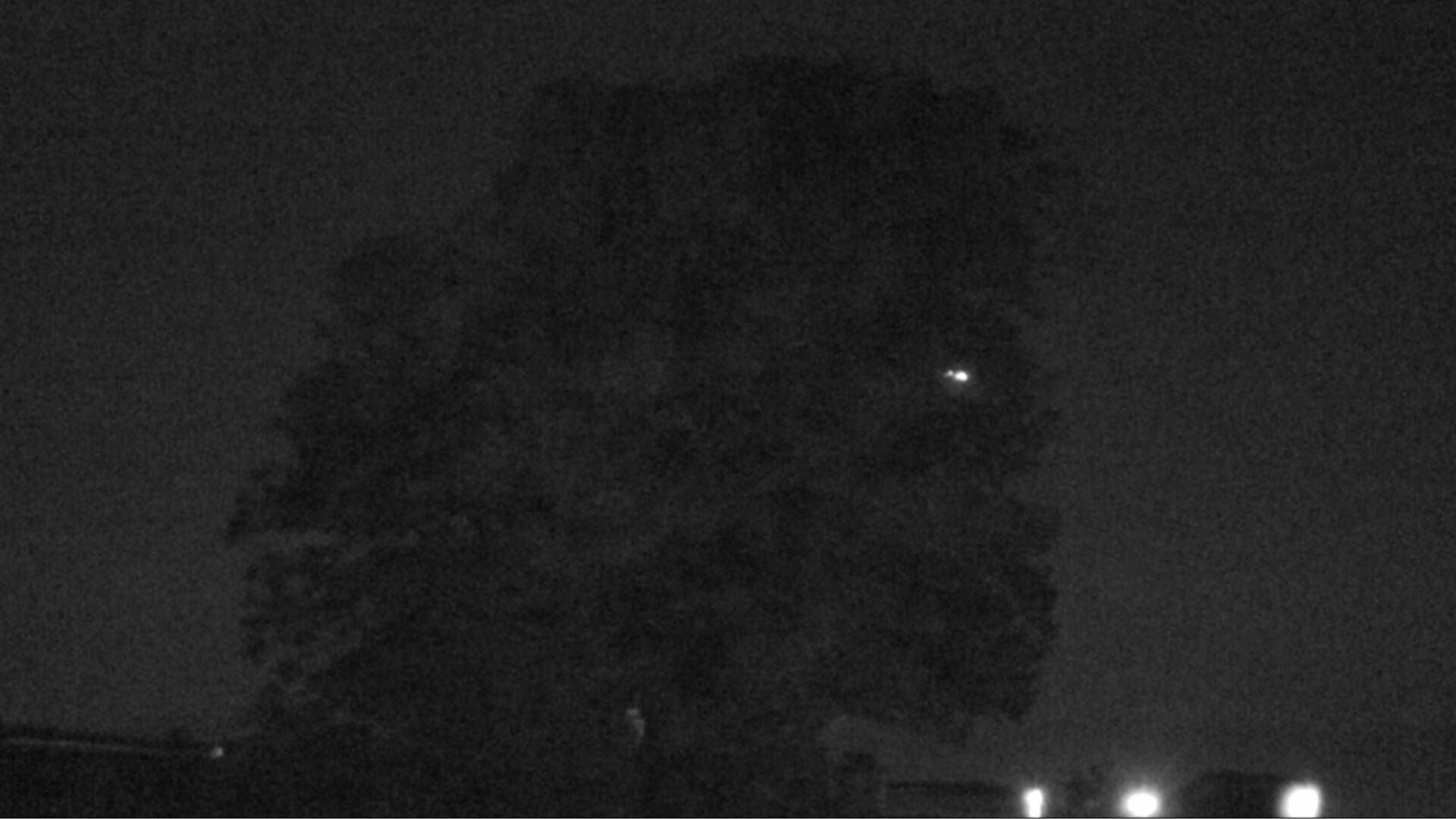 Bözberg: Büntacher › Nordosten: the Lime Tree at Linn