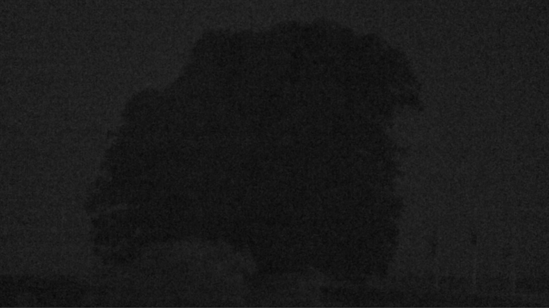 Bözberg: Büntacher › Nordosten: the Lime Tree at Linn