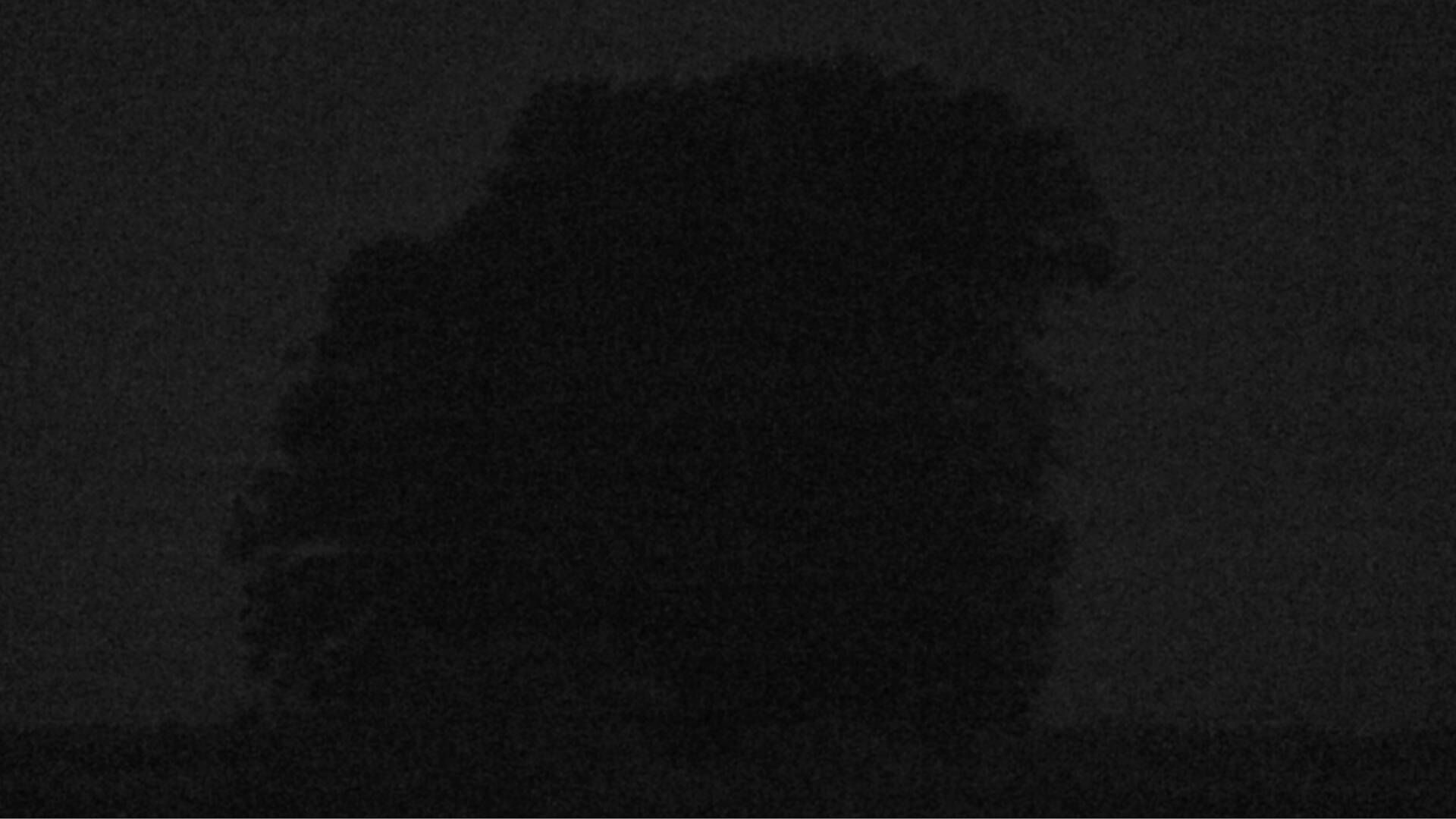 Bözberg: Büntacher › Nordosten: the Lime Tree at Linn