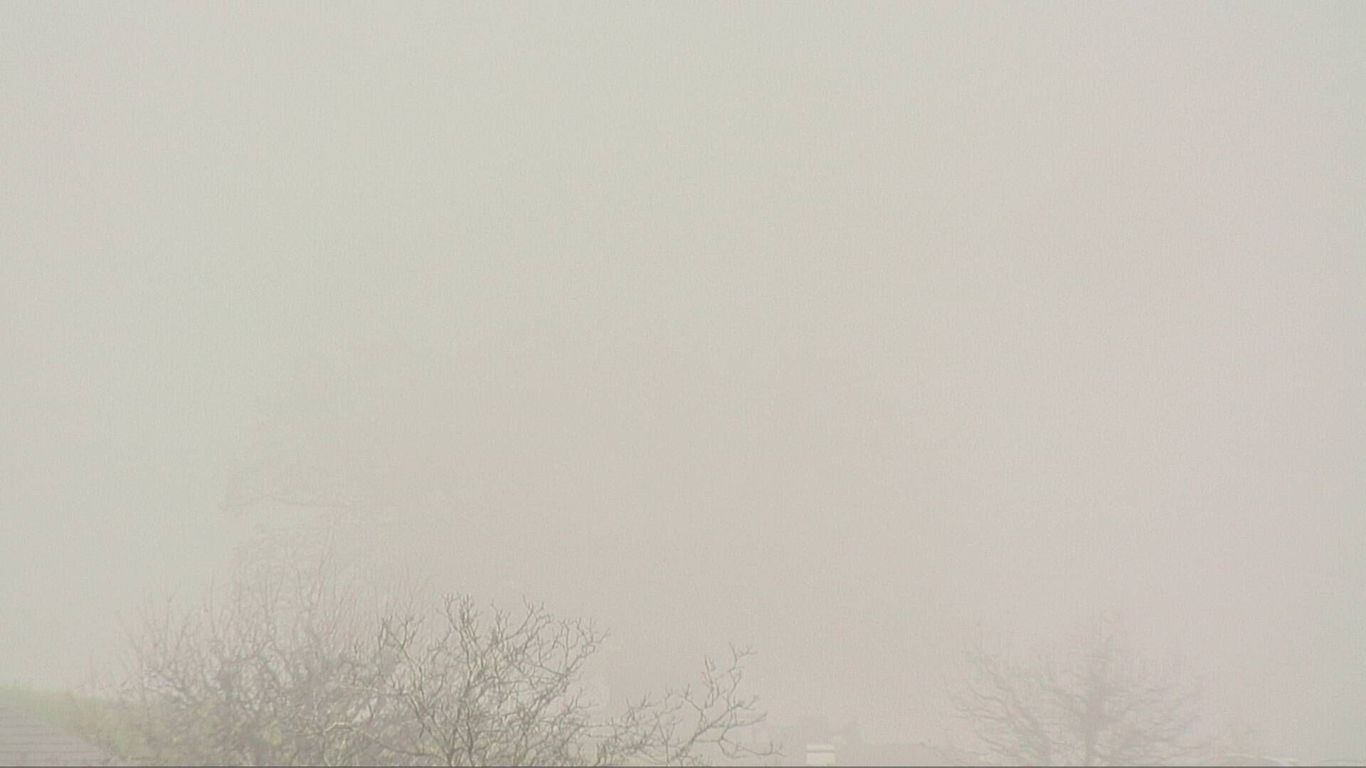 Büntacher: Linn - Die Linde von Linn (Linner Linde)