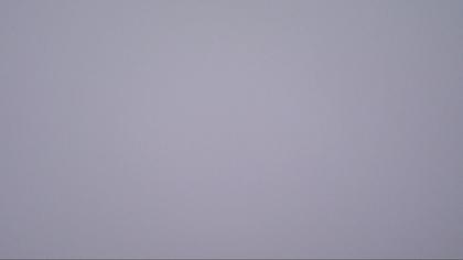 Büntacher: Linn - Die Linde von Linn (Linner Linde)