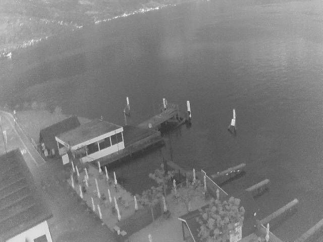 Hertenstein › Süden: Hertensteinstrasse 156 - Vierwaldstättersee