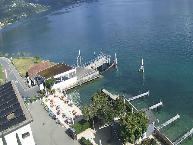 Hertenstein › Süden: Hertensteinstrasse 156 - Vierwaldstättersee