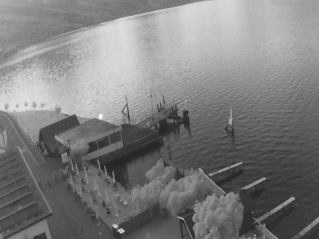 Hertenstein › Süden: Hertensteinstrasse 156 - Vierwaldstättersee