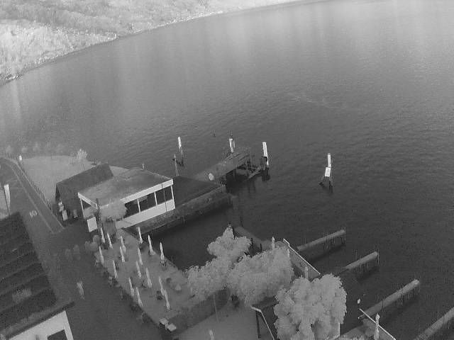 Hertenstein › Süden: Hertensteinstrasse 156 - Vierwaldstättersee