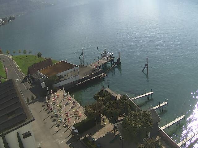 Hertenstein › Süden: Hertensteinstrasse 156 - Vierwaldstättersee