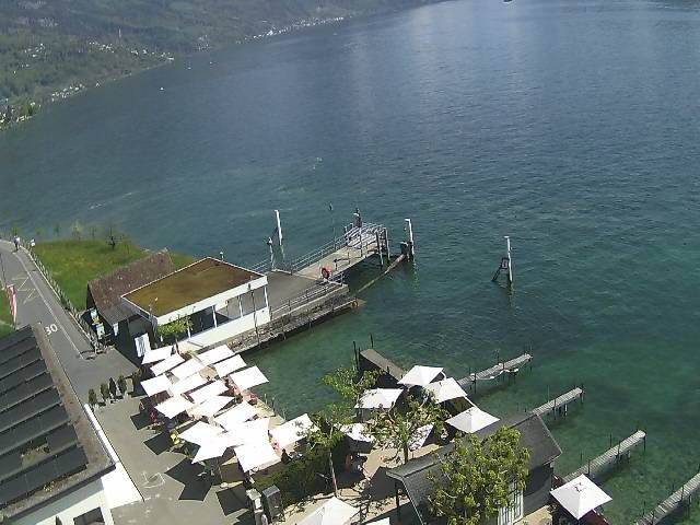 Hertenstein › Süden: Hertensteinstrasse 156 - Vierwaldstättersee