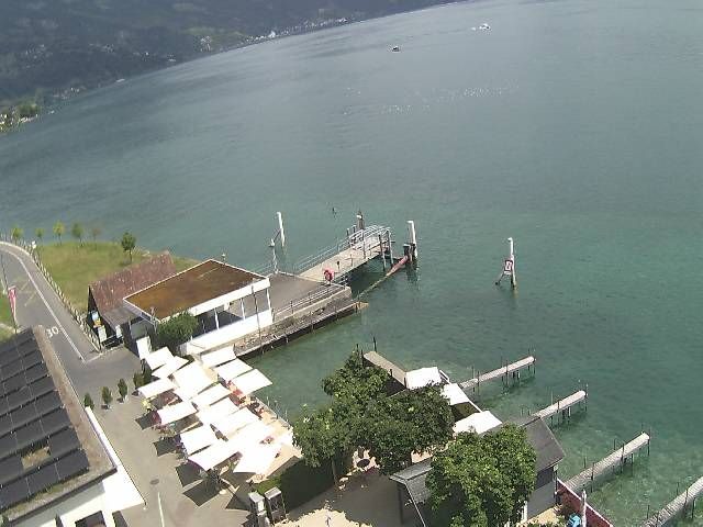 Hertenstein › Süden: Hertensteinstrasse 156 - Vierwaldstättersee
