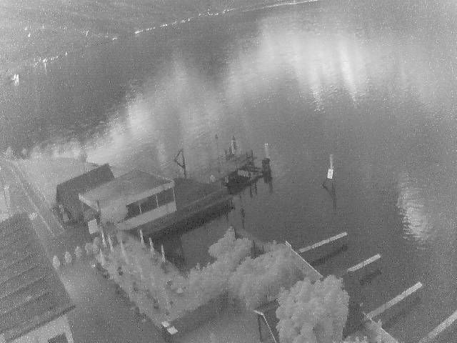 Hertenstein › Süden: Hertensteinstrasse 156 - Vierwaldstättersee