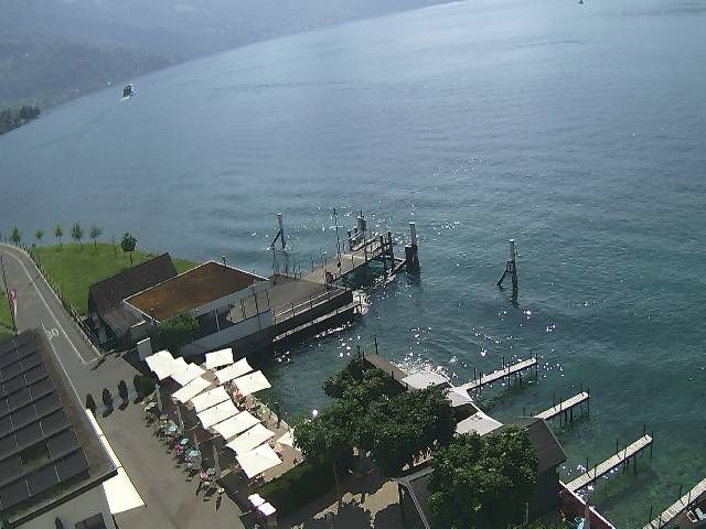Hertenstein › Süden: Hertensteinstrasse 156 - Vierwaldstättersee