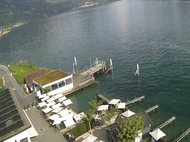 Hertenstein › Süden: Hertensteinstrasse 156 - Vierwaldstättersee