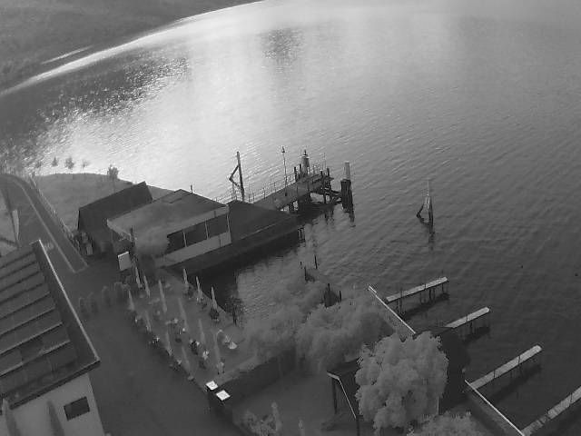 Hertenstein › Süden: Hertensteinstrasse 156 - Vierwaldstättersee