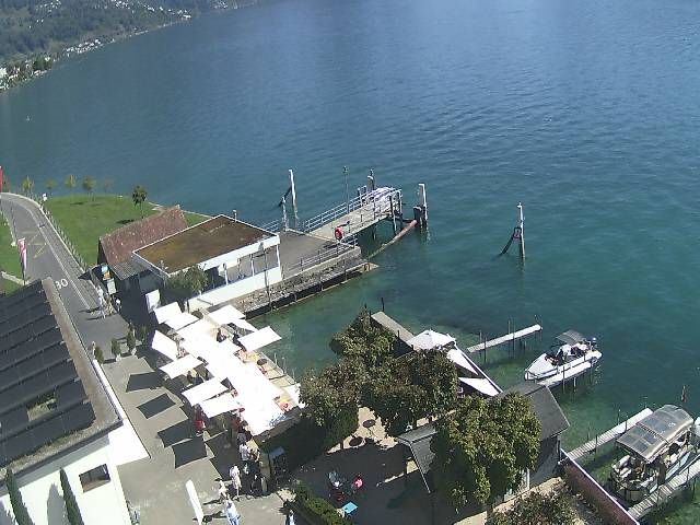 Hertenstein › Süden: Hertensteinstrasse 156 - Vierwaldstättersee