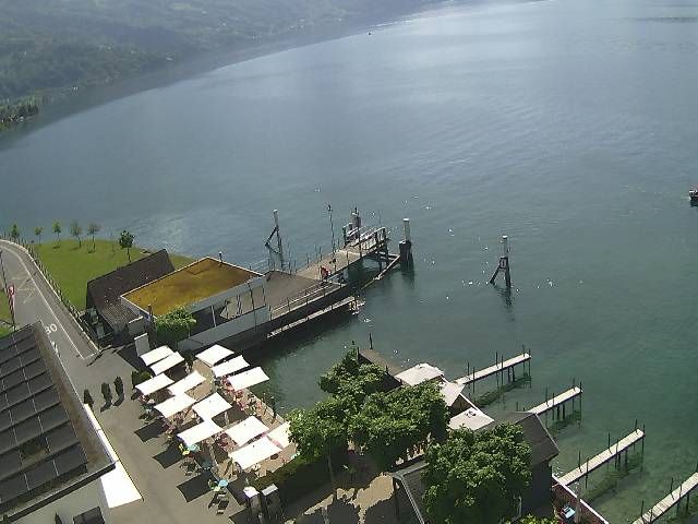 Hertenstein › Süden: Hertensteinstrasse 156 - Vierwaldstättersee