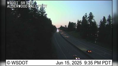 Lynnwood Traffic and Landscape