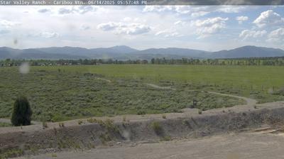 Scenic Caribou Landscape