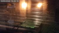 Peterborough › East