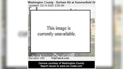 King City: Traffic and Landscape