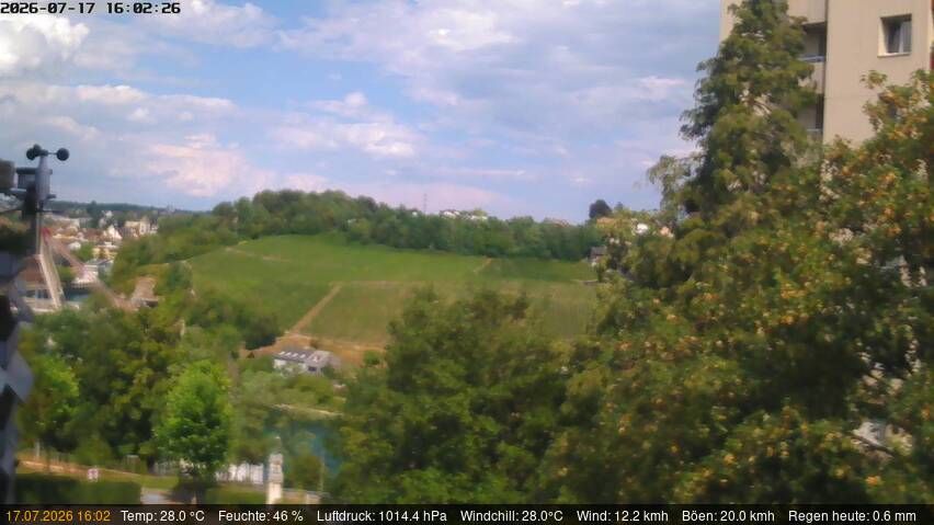 Neuhausen am Rheinfall › Nordosten: Schaffhausen, Schweiz: Nordost (Flurlingen/ Schaffhausen)