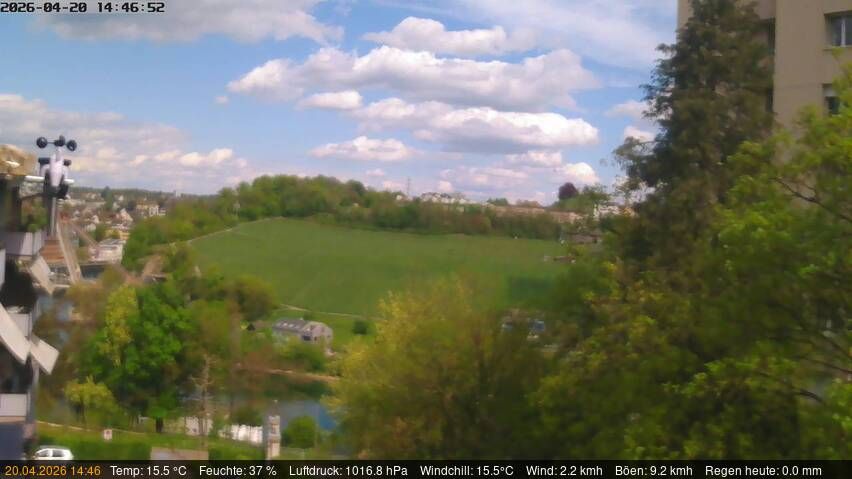 Neuhausen am Rheinfall › Nordosten: Schaffhausen, Schweiz: Nordost (Flurlingen/ Schaffhausen)