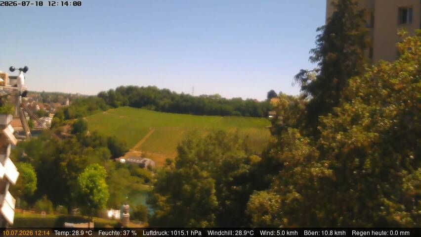 Neuhausen am Rheinfall › Nordosten: Schaffhausen, Schweiz: Nordost (Flurlingen/ Schaffhausen)